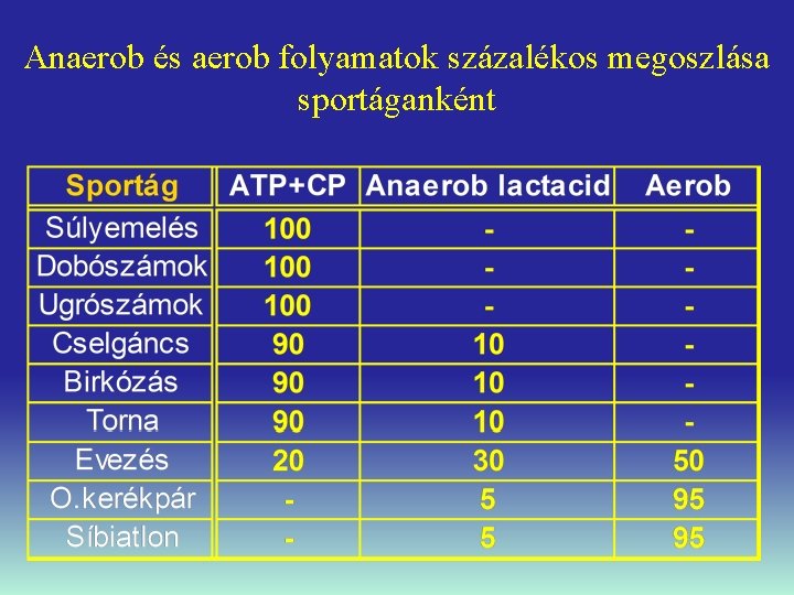 Anaerob és aerob folyamatok százalékos megoszlása sportáganként 