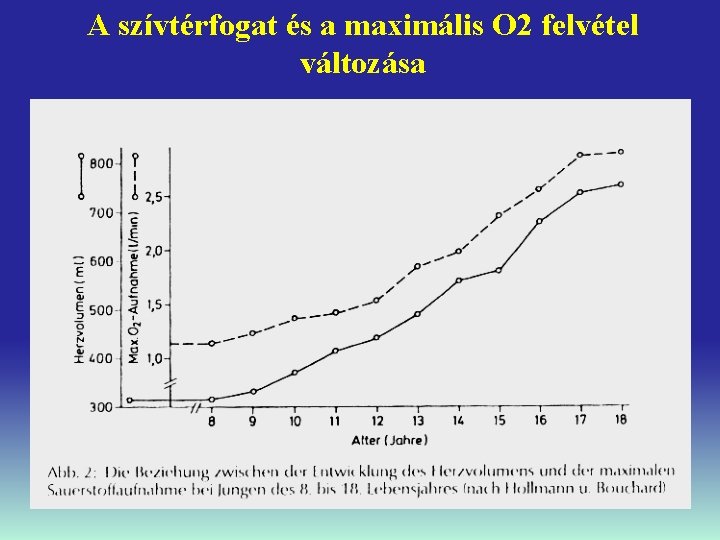 A szívtérfogat és a maximális O 2 felvétel változása 