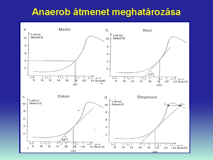Anaerob átmenet meghatározása 