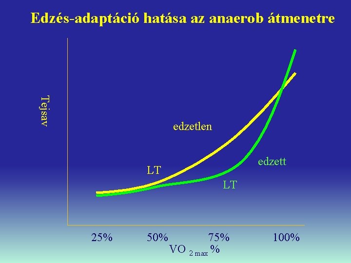 Edzés-adaptáció hatása az anaerob átmenetre Tejsav edzetlen edzett LT LT 25% 50% 75% VO