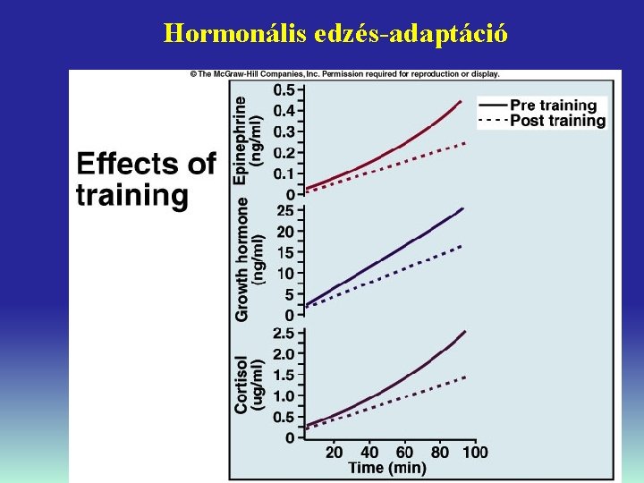 Hormonális edzés-adaptáció 