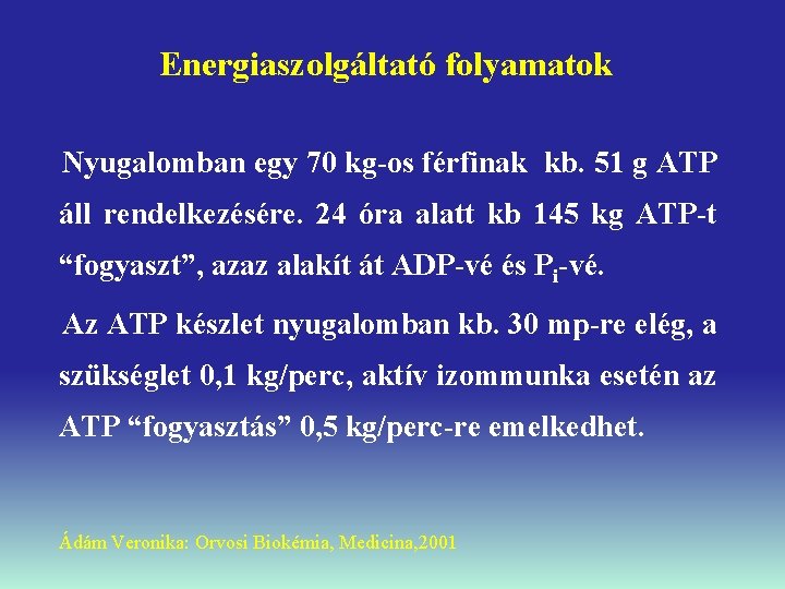 Energiaszolgáltató folyamatok Nyugalomban egy 70 kg-os férfinak kb. 51 g ATP áll rendelkezésére. 24