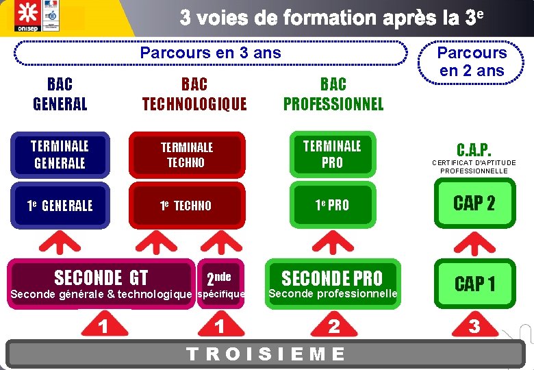 e Parcours en 3 ans BAC GENERAL BAC TECHNOLOGIQUE BAC PROFESSIONNEL Parcours en 2