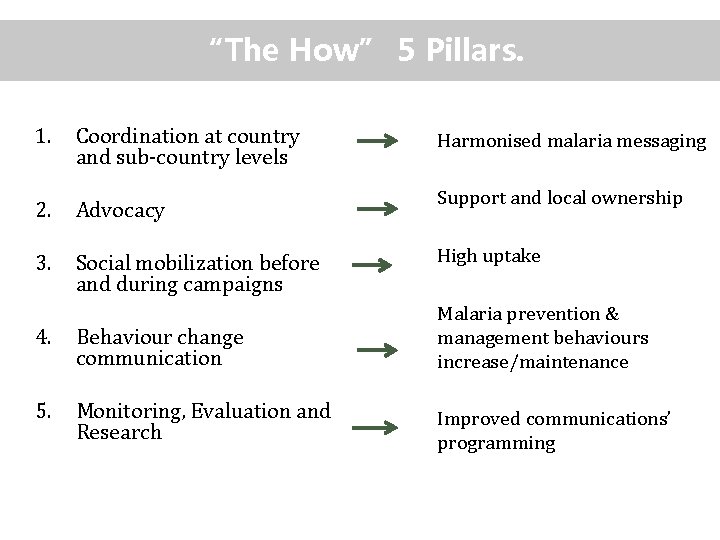 “The How” 5 Pillars. 1. Coordination at country and sub-country levels 2. Advocacy 3.