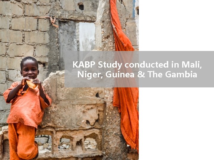 KABP Study conducted in Mali, Niger, Guinea & The Gambia 