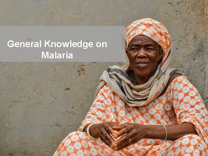 General Knowledge on Malaria Connecting with Communities. 