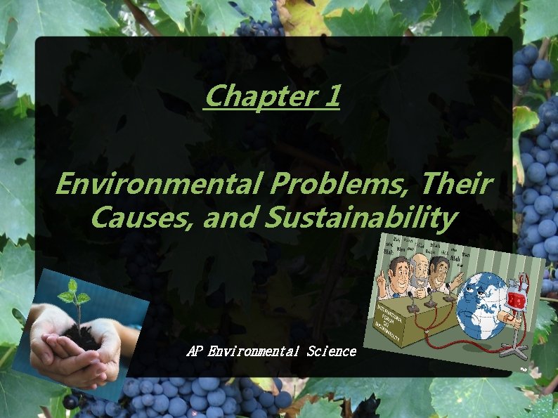 aplia assignment environmental problems their causes and sustainability