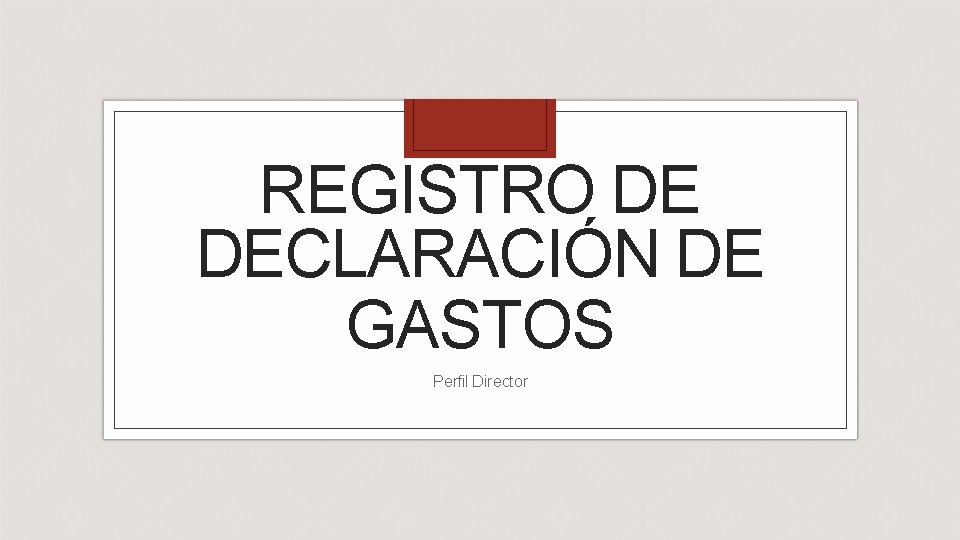 REGISTRO DE DECLARACIÓN DE GASTOS Perfil Director 
