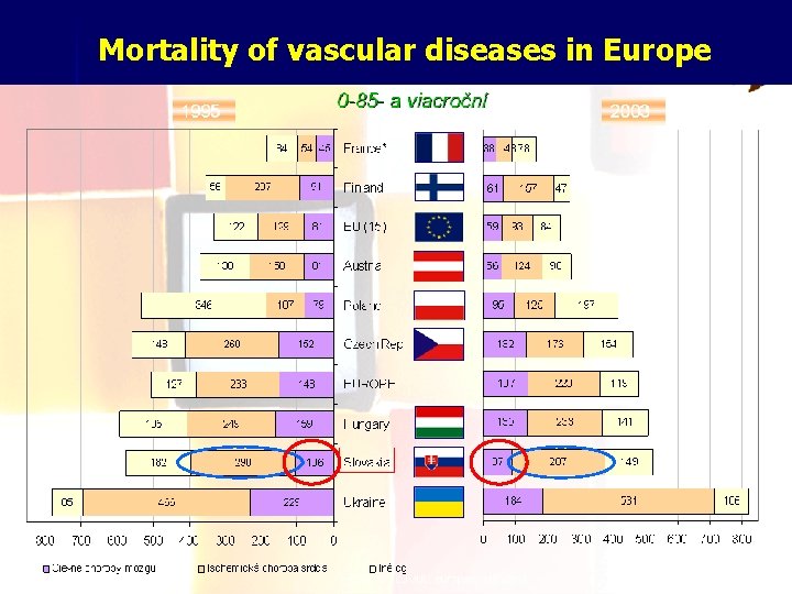 Mortality of vascular diseases in Europe 