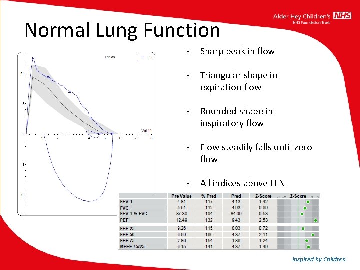 Normal Lung Function - Sharp peak in flow - Triangular shape in expiration flow Normal Lung Function - Sharp peak in flow - Triangular shape in expiration flow