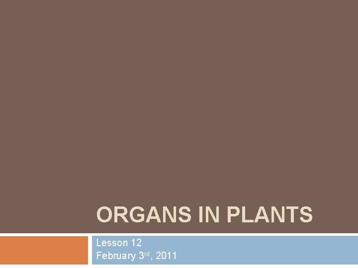 ORGANS IN PLANTS Lesson 12 February 3 rd, 2011 