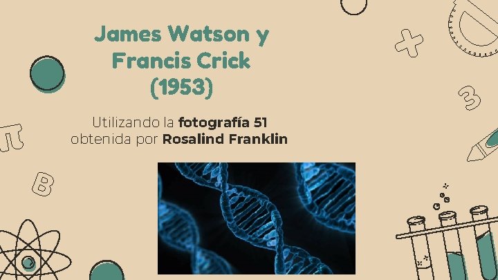 James Watson y Francis Crick (1953) Utilizando la fotografía 51 obtenida por Rosalind Franklin