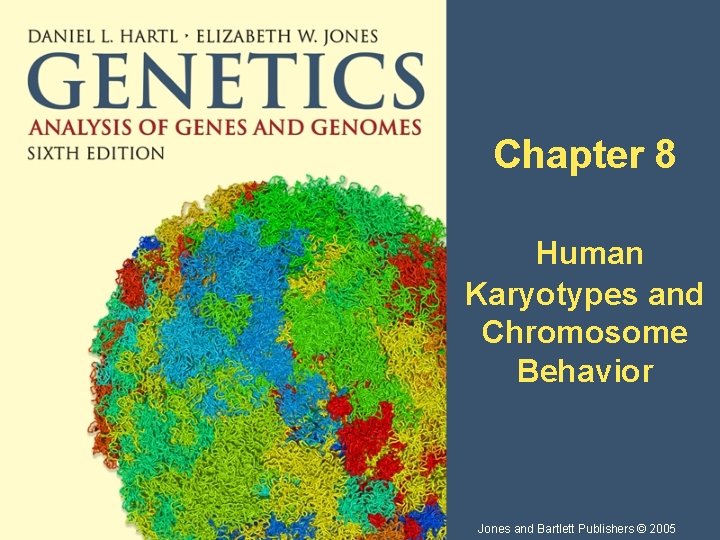 Chapter 8 Human Karyotypes and Chromosome Behavior Jones and Bartlett Publishers © 2005 