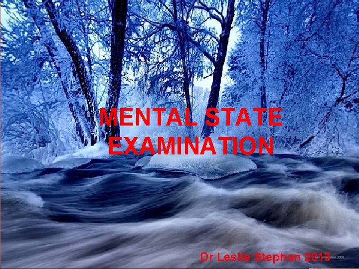 MENTAL STATE EXAMINATION Dr Leslie Stephan 2013 