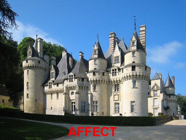 AFFECT 24 