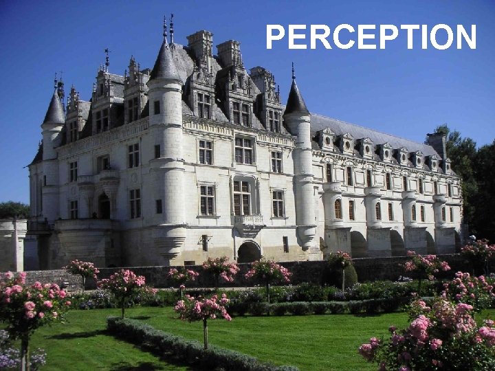 PERCEPTION 28 