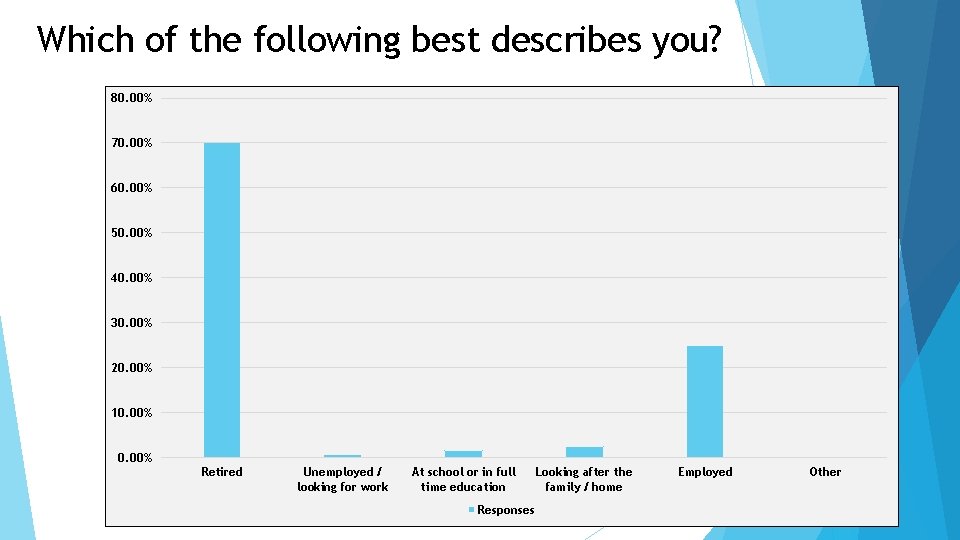 Which of the following best describes you? 80. 00% 70. 00% 60. 00% 50.