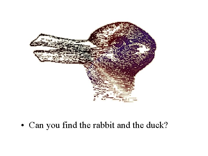  • Can you find the rabbit and the duck? 