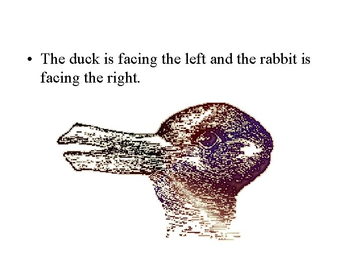  • The duck is facing the left and the rabbit is facing the