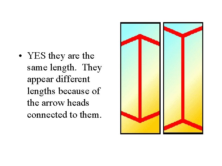  • YES they are the same length. They appear different lengths because of