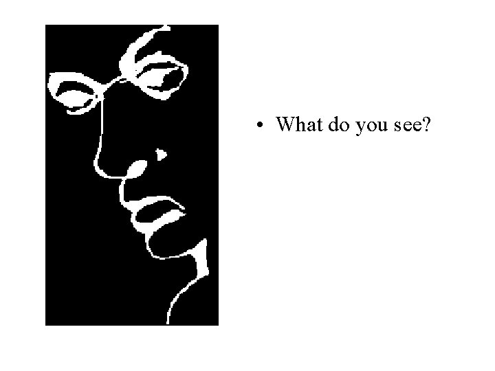  • What do you see? 