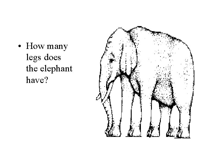  • How many legs does the elephant have? 