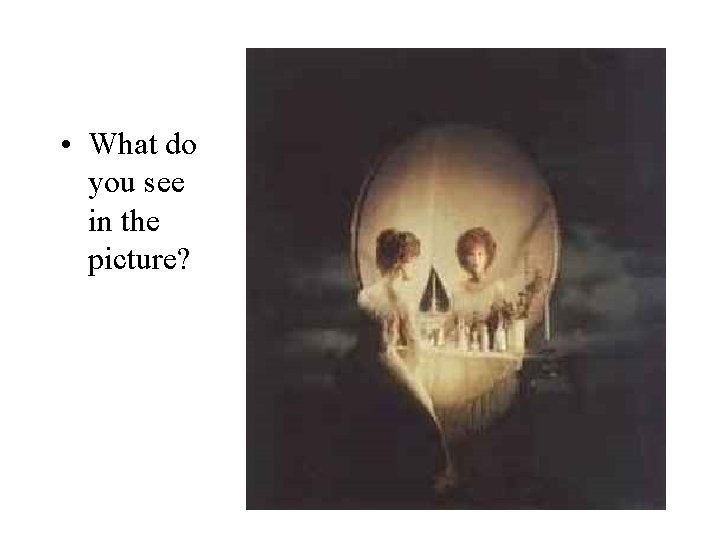  • What do you see in the picture? 