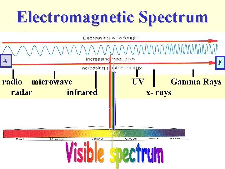 Electromagnetic Spectrum A radio microwave radar infrared F UV Gamma Rays x- rays 
