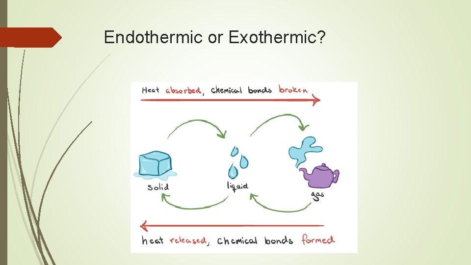 Endothermic or Exothermic? 