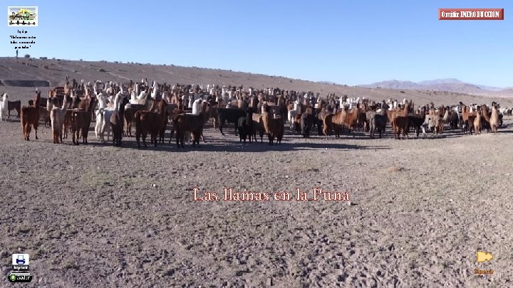 Omitir INTRODUCCIÓN Equipo “Elaboremos entre todos una escuela para todos” Las llamas en la