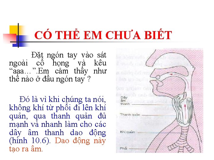 CÓ THỂ EM CHƯA BIẾT Đặt ngón tay vào sát ngoài cổ họng và