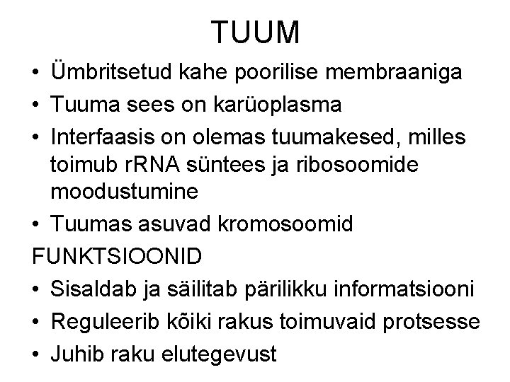 TUUM • Ümbritsetud kahe poorilise membraaniga • Tuuma sees on karüoplasma • Interfaasis on
