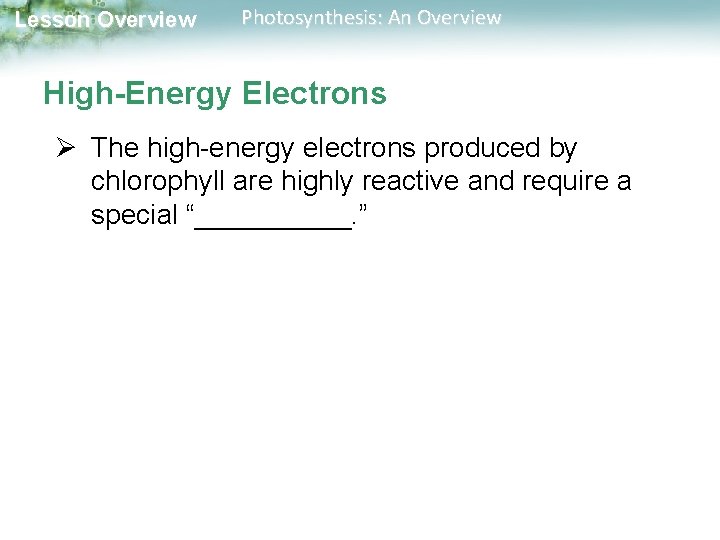 Lesson Overview Photosynthesis: An Overview High-Energy Electrons Ø The high-energy electrons produced by chlorophyll