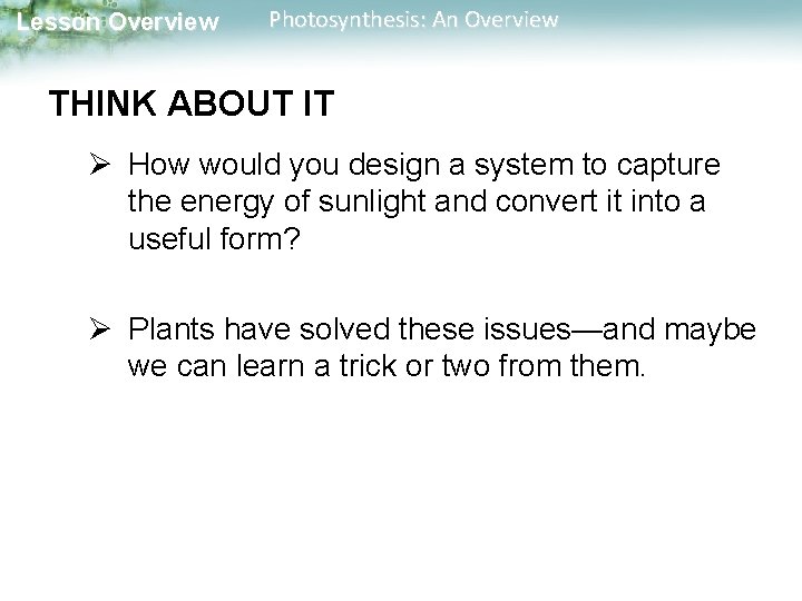 Lesson Overview Photosynthesis: An Overview THINK ABOUT IT Ø How would you design a