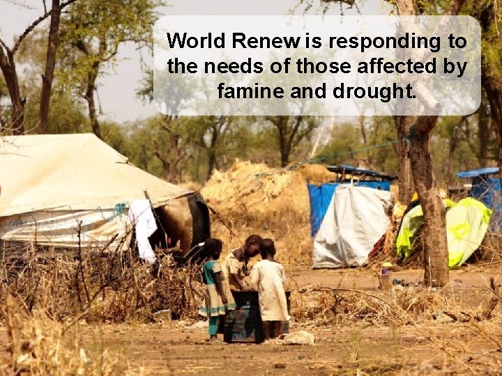 World Renew is responding to the needs of those affected by famine and drought.