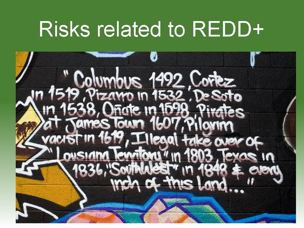 Risks related to REDD+ 