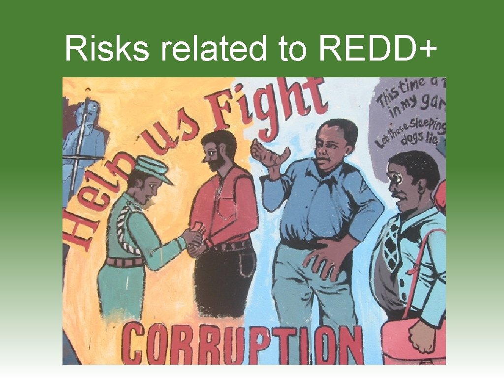 Risks related to REDD+ 