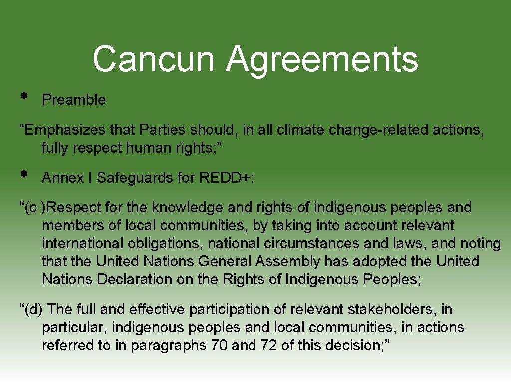 Cancun Agreements • Preamble “Emphasizes that Parties should, in all climate change-related actions, fully