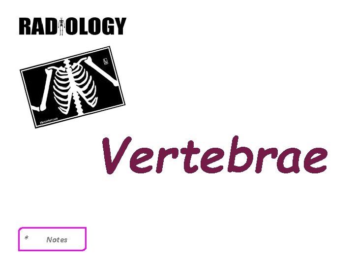 Vertebrae * Notes 