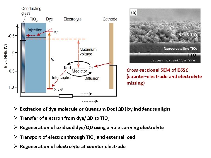 Cross-sectional SEM of DSSC (counter-electrode and electrolyte missing) Ø Excitation of dye molecule or