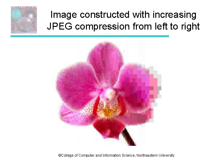Image constructed with increasing JPEG compression from left to right ©College of Computer and Image constructed with increasing JPEG compression from left to right ©College of Computer and