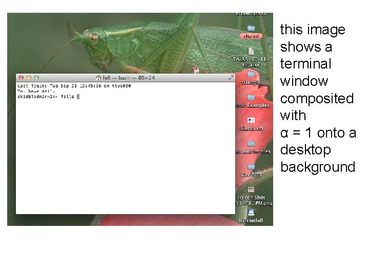 this image shows a terminal window composited with α = 1 onto a desktop this image shows a terminal window composited with α = 1 onto a desktop