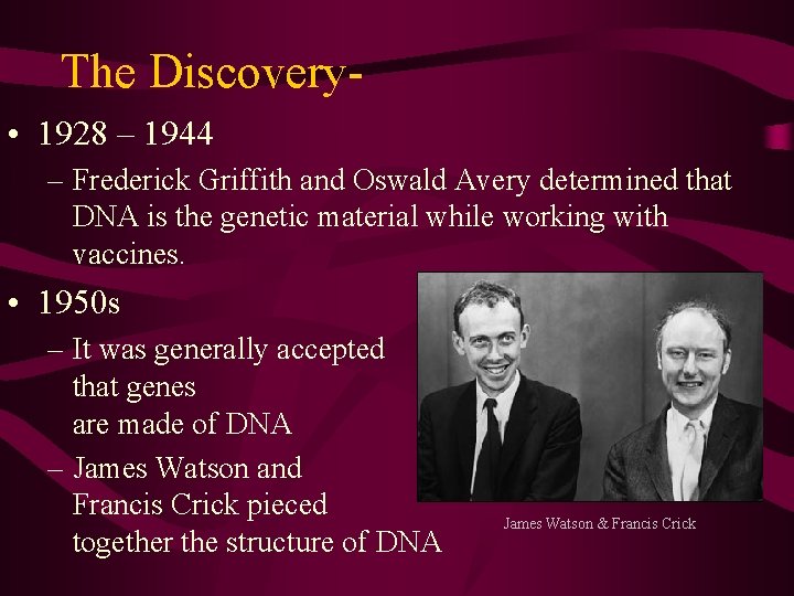 The Discovery • 1928 – 1944 – Frederick Griffith and Oswald Avery determined that