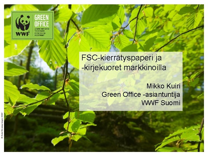 FSC-kierrätyspaperi ja -kirjekuoret markkinoilla © Global Warming Images / WWF Mikko Kuiri Green Office
