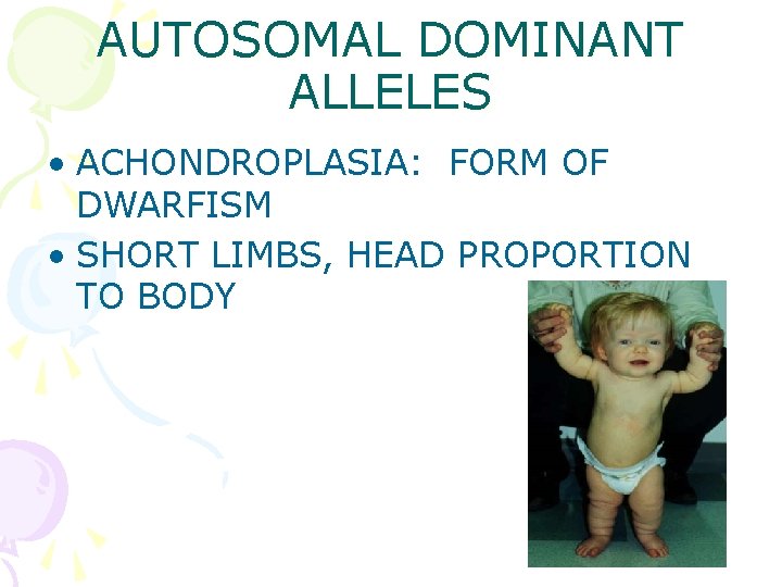 AUTOSOMAL DOMINANT ALLELES • ACHONDROPLASIA: FORM OF DWARFISM • SHORT LIMBS, HEAD PROPORTION TO