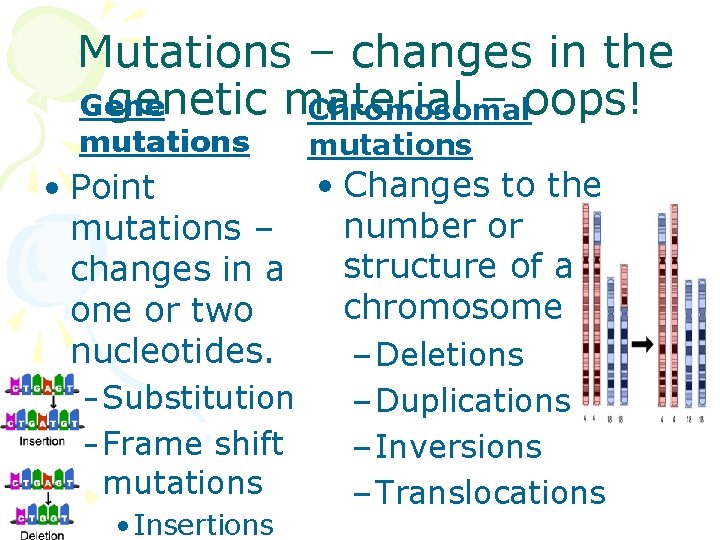 Mutations – changes in the genetic material – oops! Gene Chromosomal mutations • Changes