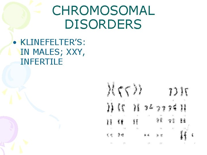 CHROMOSOMAL DISORDERS • KLINEFELTER’S: IN MALES; XXY, INFERTILE 