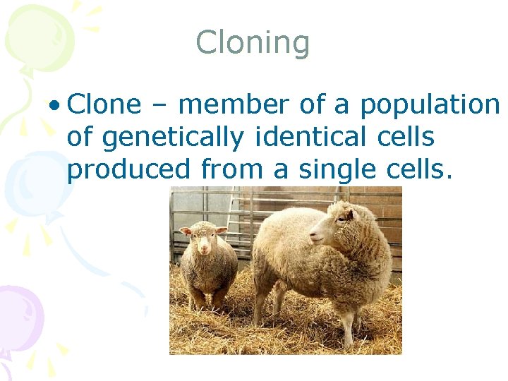 Cloning • Clone – member of a population of genetically identical cells produced from