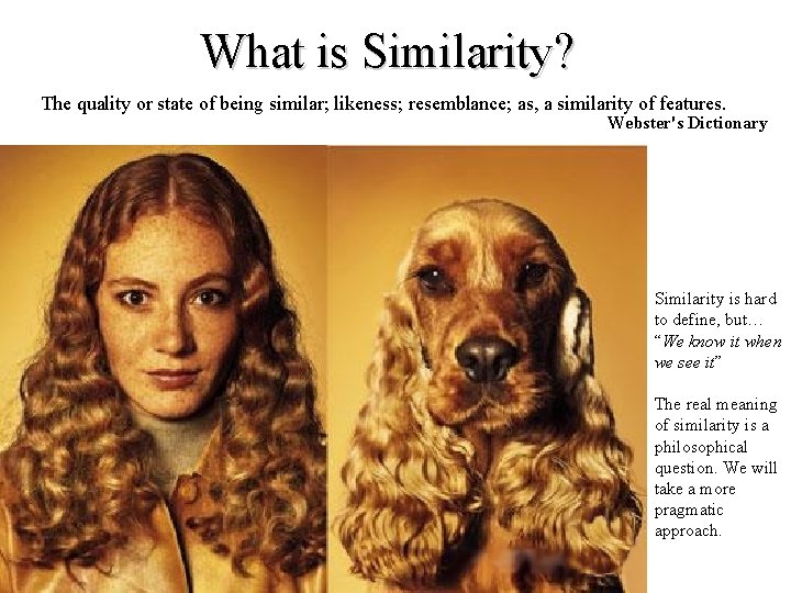 What is Similarity? The quality or state of being similar; likeness; resemblance; as, a