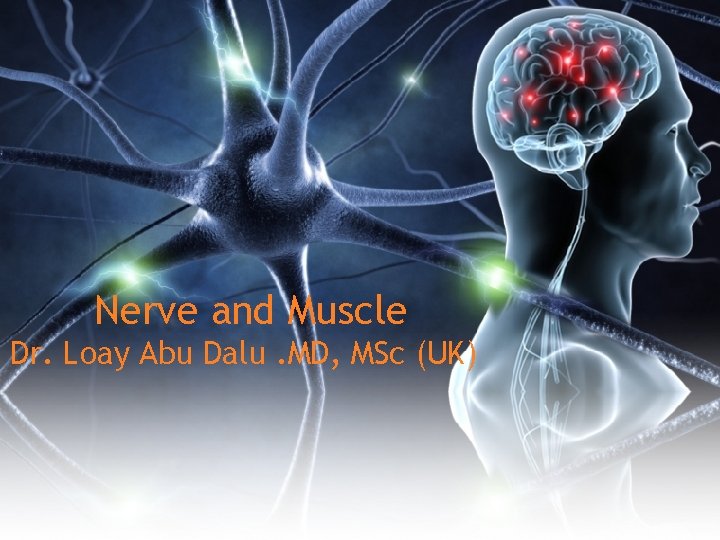 Nerve and Muscle Dr. Loay Abu Dalu. MD, MSc (UK) 